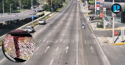&iquest;Nueva amenaza en la Atlixc&aacute;yotl? Arrojan piedras contra los automovilistas