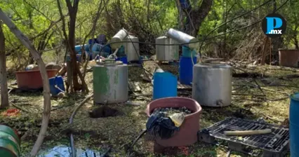 Desmantelan narcolaboratorio en Sinaloa; aseguran precursores y equipo de producci&oacute;n