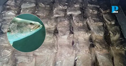 Sentencian a hombre por delito contra la biodiversidad en Sonora
