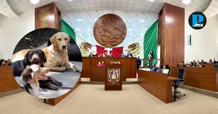 OCPA solicit&oacute; informaci&oacute;n al Congreso de Tlaxcala para conocer avance real en iniciativas de bienestar animal.