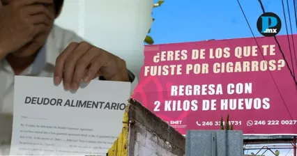 Luis Antonio Ram&iacute;rez Hern&aacute;ndez, actual secretario de Gobierno de Tlaxcala, fue demandado por el presunto incumplimiento del pago de pensi&oacute;n alimentaria.