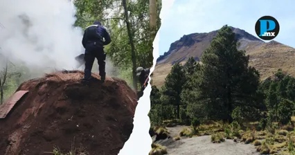 Autoridades desmantelaron un horno clandestino de carb&oacute;n en el Parque Nacional La Malinche.