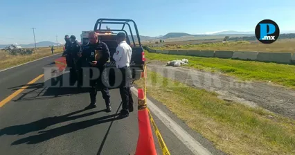 Dos cuerpos fueron hallados a un costado de la carretera Calpulalpan&ndash;Apan; podr&iacute;an corresponder a hombres reportados como desaparecidos.