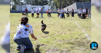 CAETO de la BUAP suma m&aacute;s de 9 mil sesiones con perros en 2026